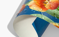 Impermeable 