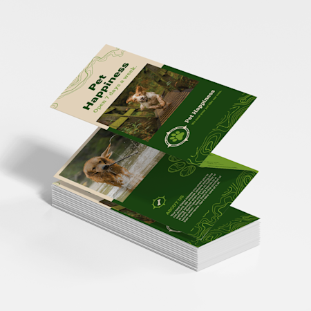 Brochures