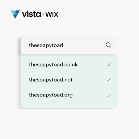 Vista x Wix Domain Name
