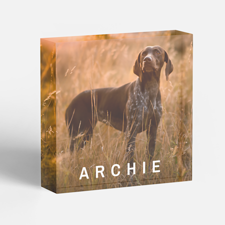 Acrylic Photo Blocks