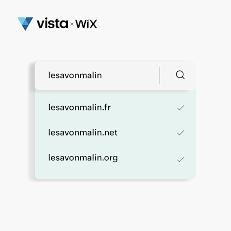 Noms de domaine Vista x Wix