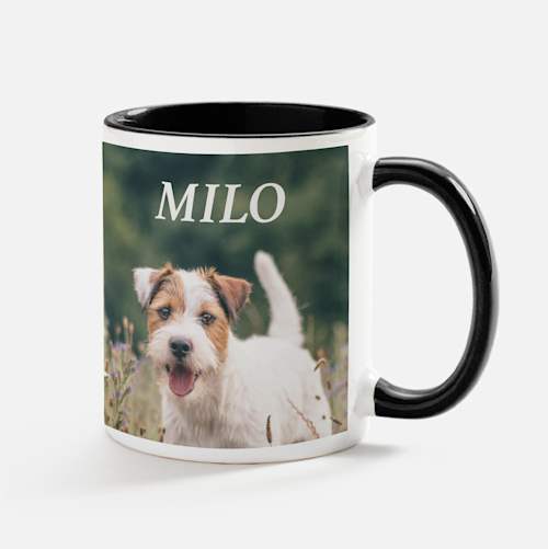 VistaPrint Promo Codes & Discounts 2024