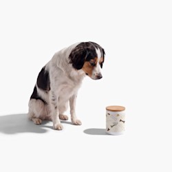 Tarros de premios para mascotas personalizados