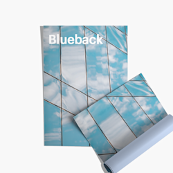 Blueback Posters