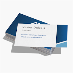 Cartes d'affaires papier mat