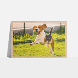 Wood Prints