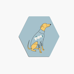 Stickers hexagone