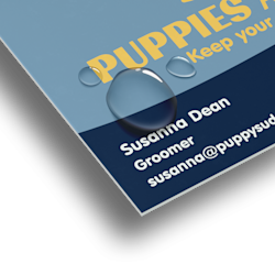 Durable Business Cards