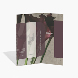 Cardboard Folding Screens