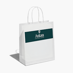 Paper Bags With Single Colour Print