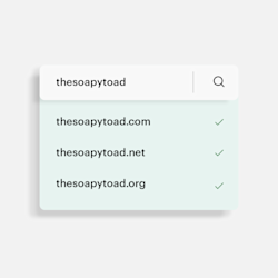 Domain Name