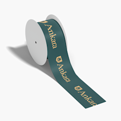 Custom Ribbon