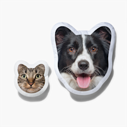 Cojines con caras de mascotas