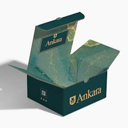 Cajas postales automontables