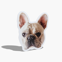 Recortes de mascotas