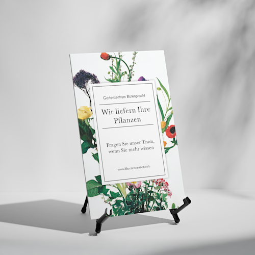 Forex-Platten