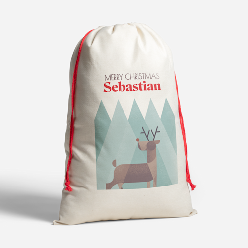 Santa Sacks
