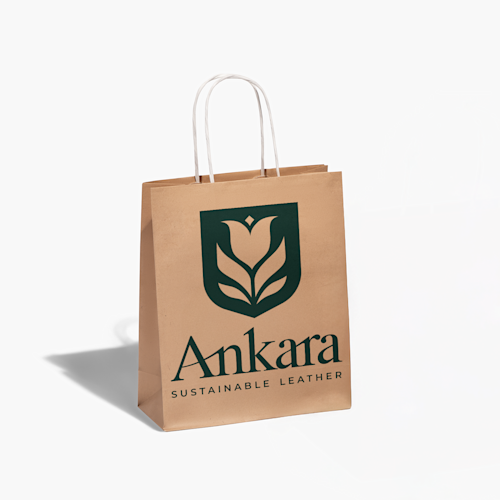 Paper Bags With Single Colour Print