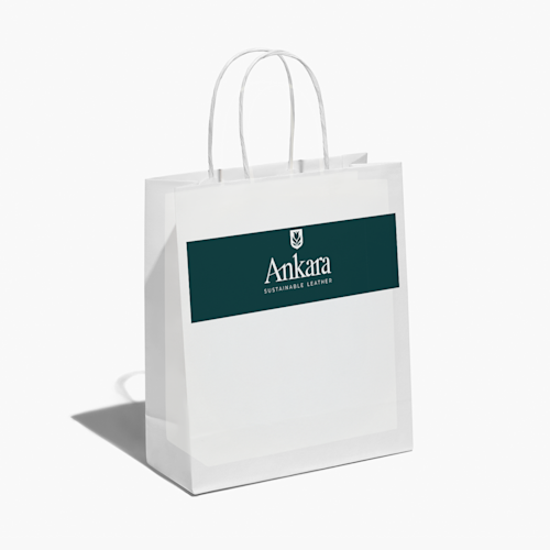 Paper Bags With Single Colour Print