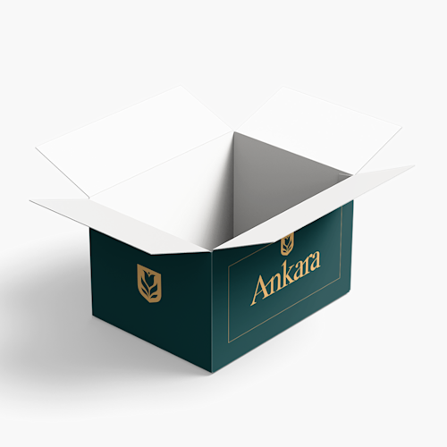 Container Shipping Boxes