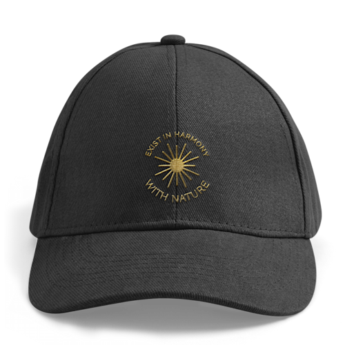 VistaPrint® Embroidered Cap