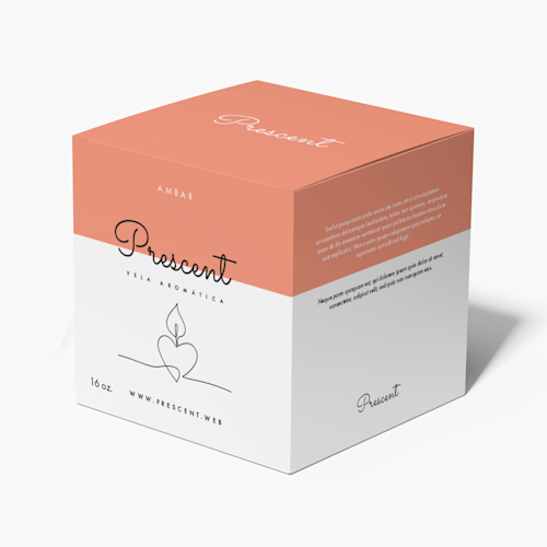 Cajas de armado automático