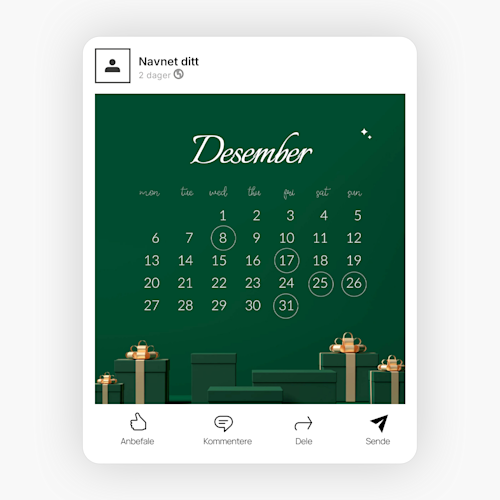 Profesjonelle innlegg