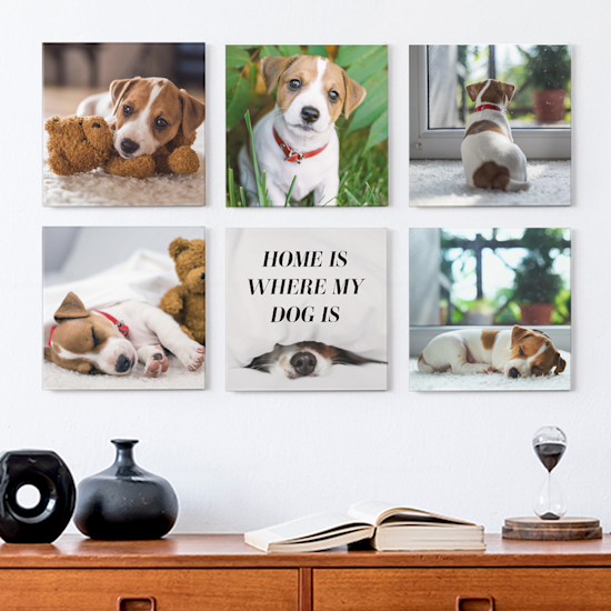 Personalized pet gifts canada deals