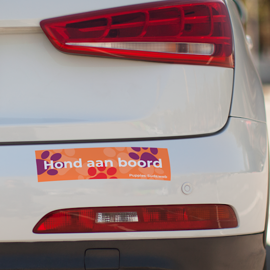 Autostickers en voertuigreclame | VistaPrint