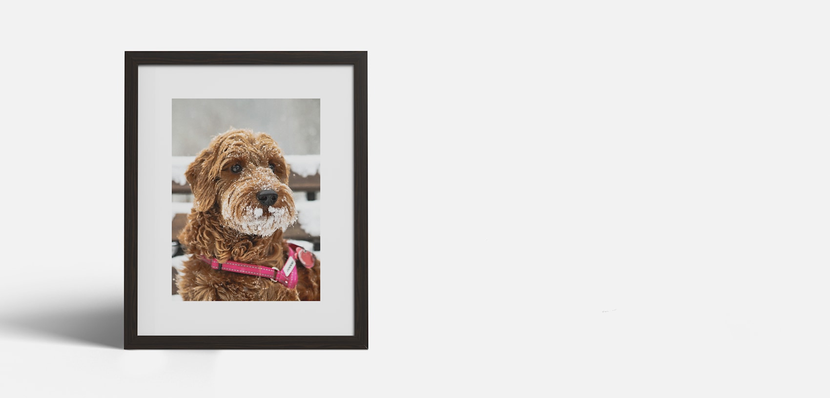 Framed Prints VistaPrint