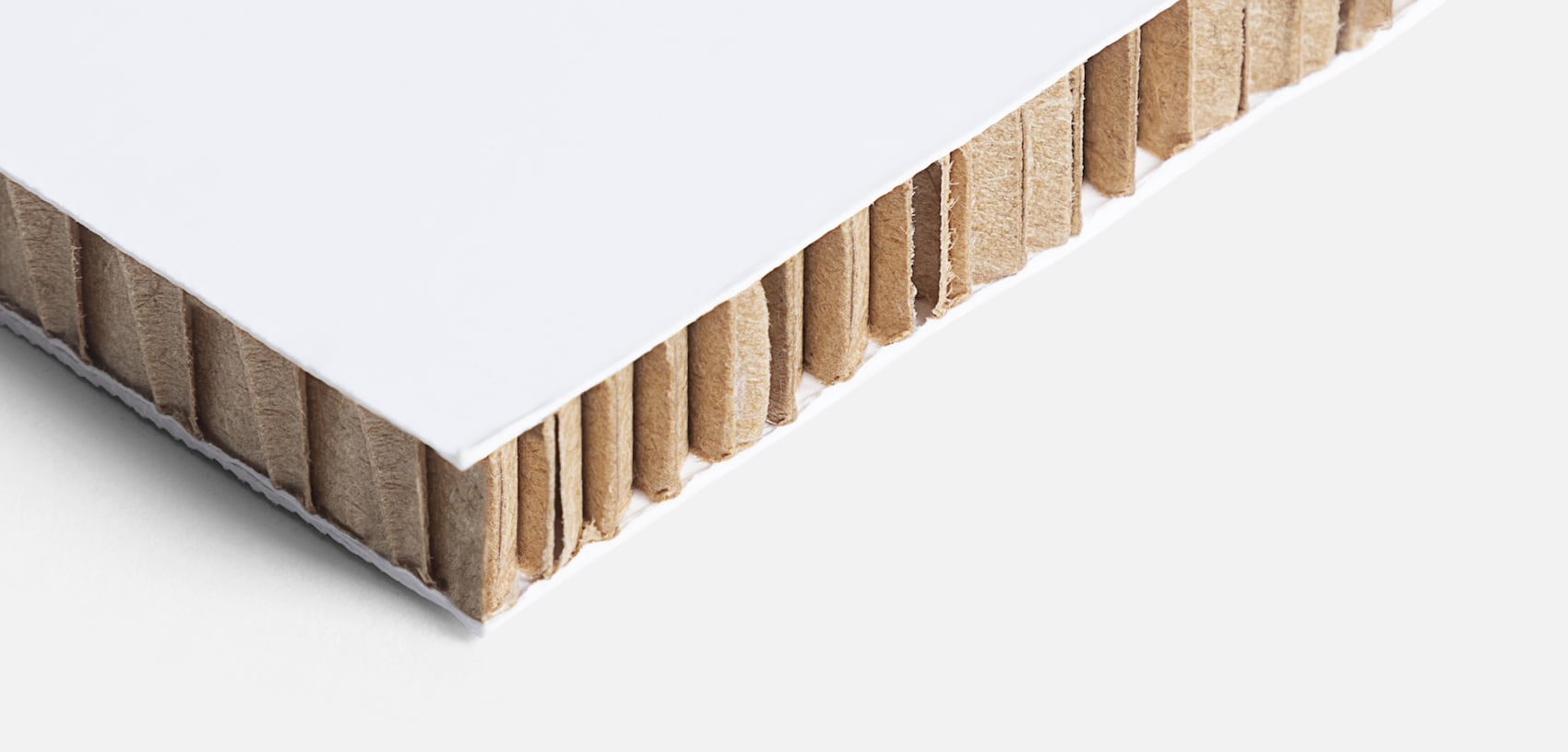 Impression de panneaux et pancartes en carton ondulé | VistaPrint