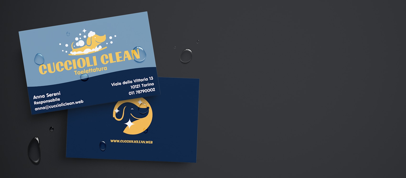 Biglietti da visita ultra resistenti VistaPrint