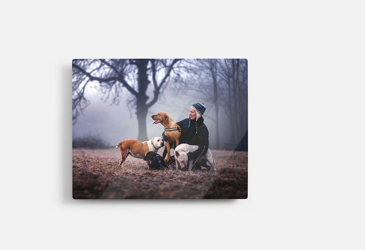 Metal Prints 3