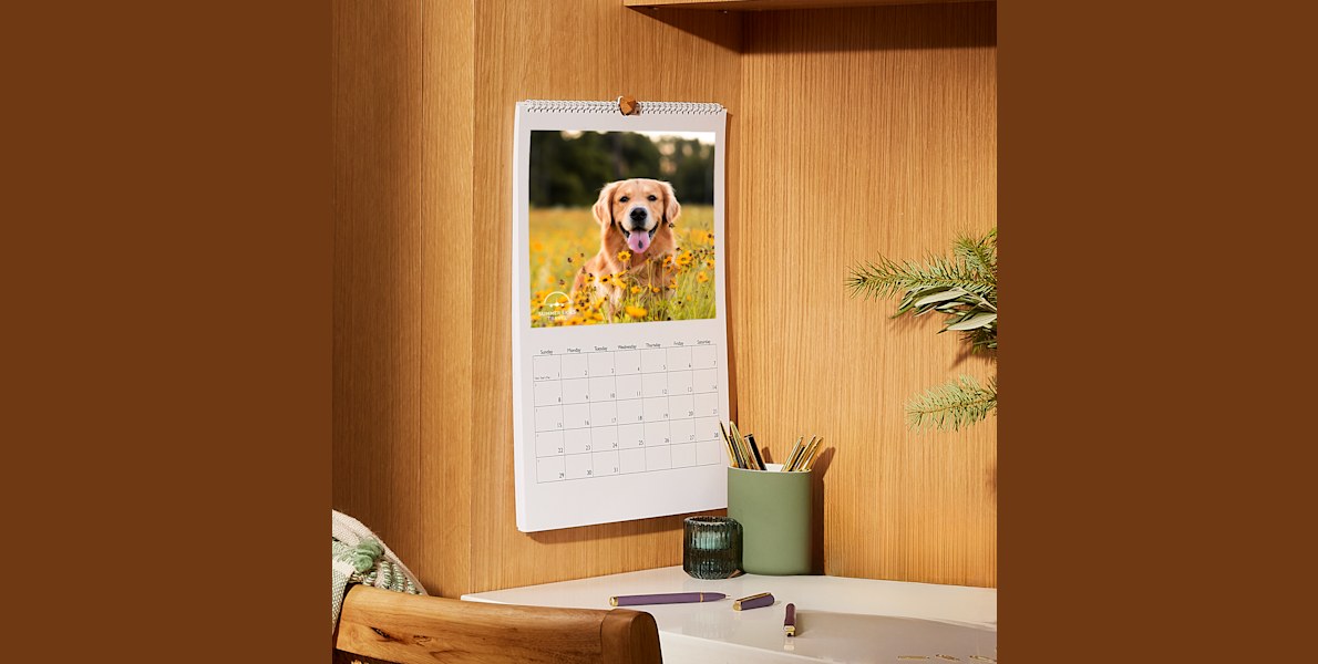 Ein aufgehängter personalisierter Wandkalender, selbst gestaltet mit dem Foto eines Golden Retrievers.  