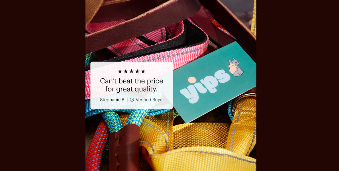 A business card for a dog walker placed on colorful dog leashes, featuring a five-star customer review.