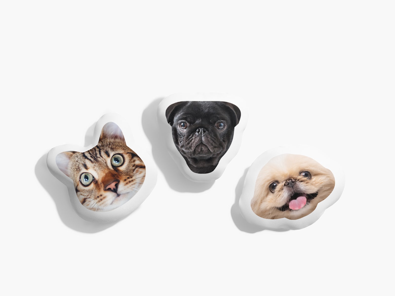 Pet face cushion clearance