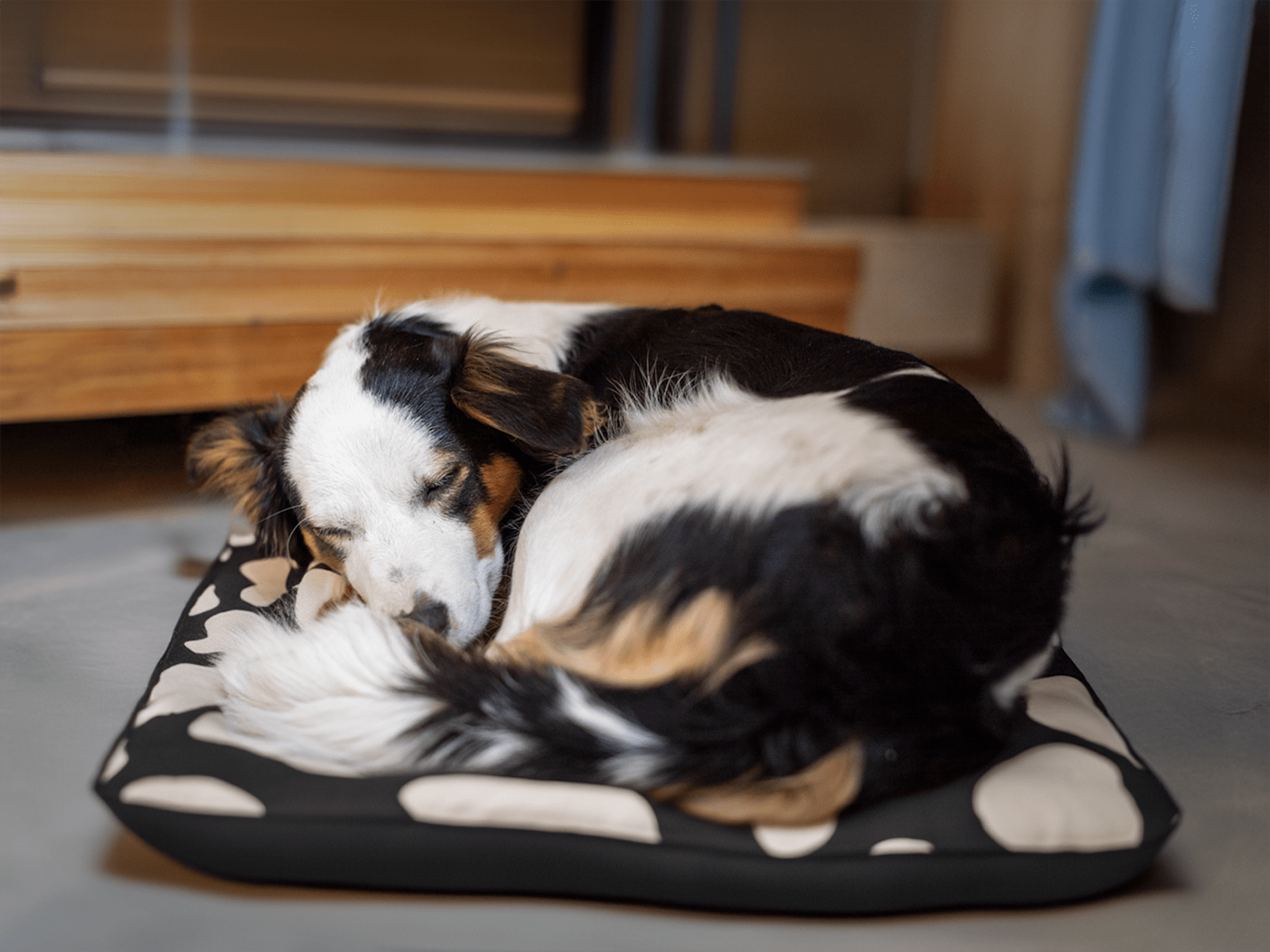 Pet Pillow