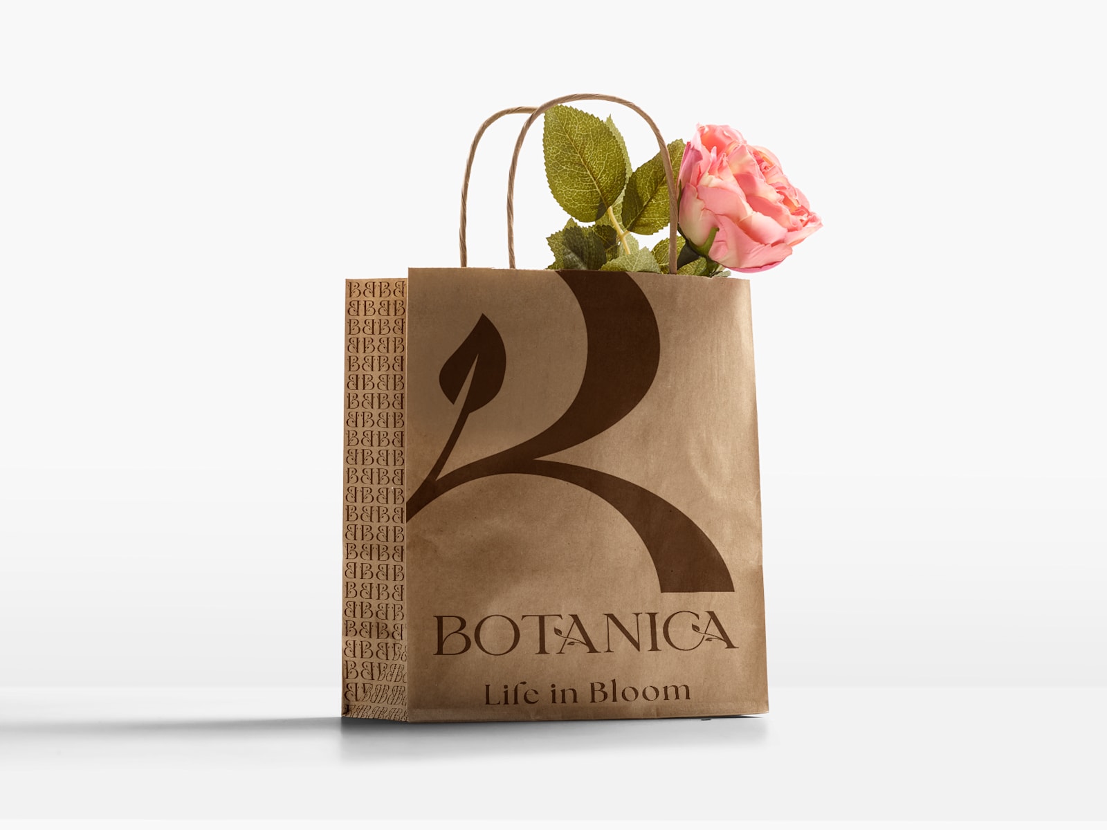 Party Bags 5