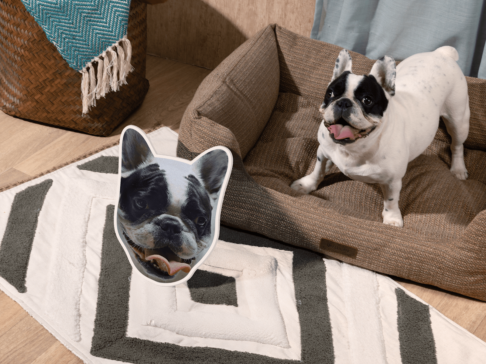 Pet Cutouts 2