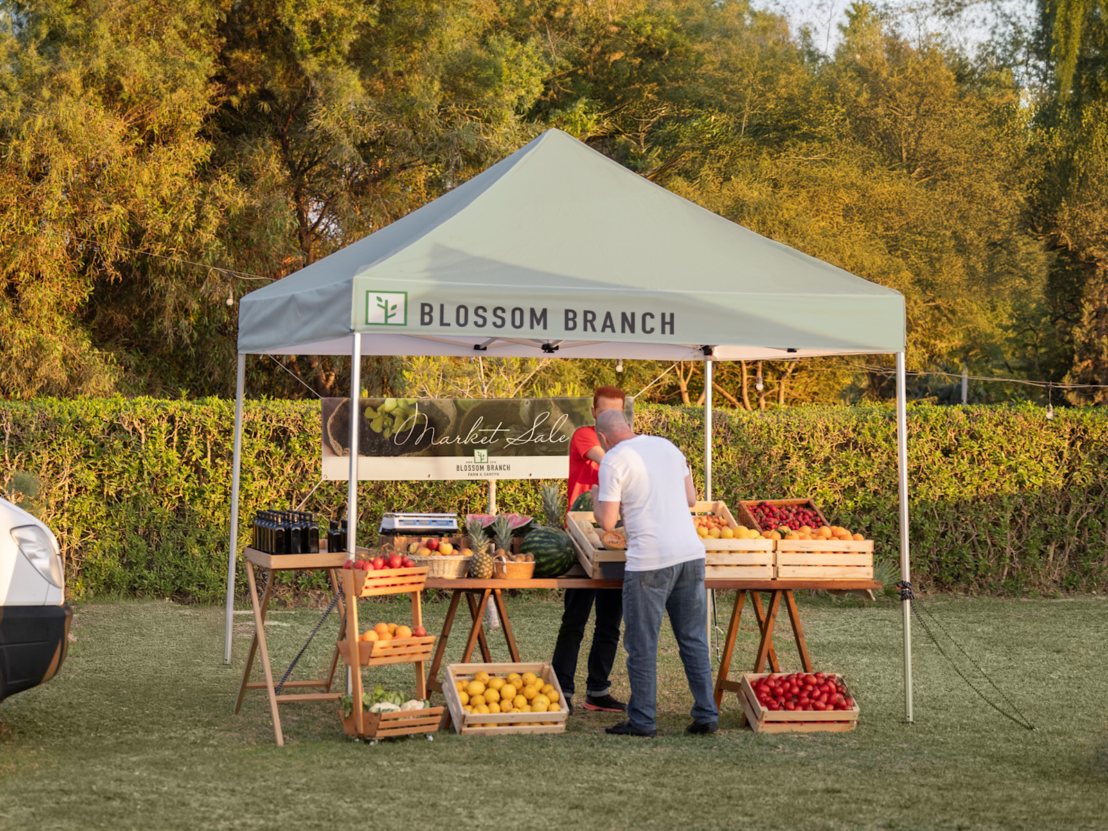 Printed Gazebo Tents 2