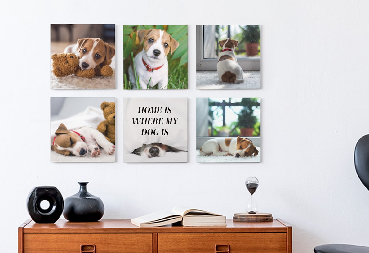 6 custom photo tiles featuring color photos of a puppy, displayed on the wall above a dresser. One tile features text that says, “Home is where my dog is.”