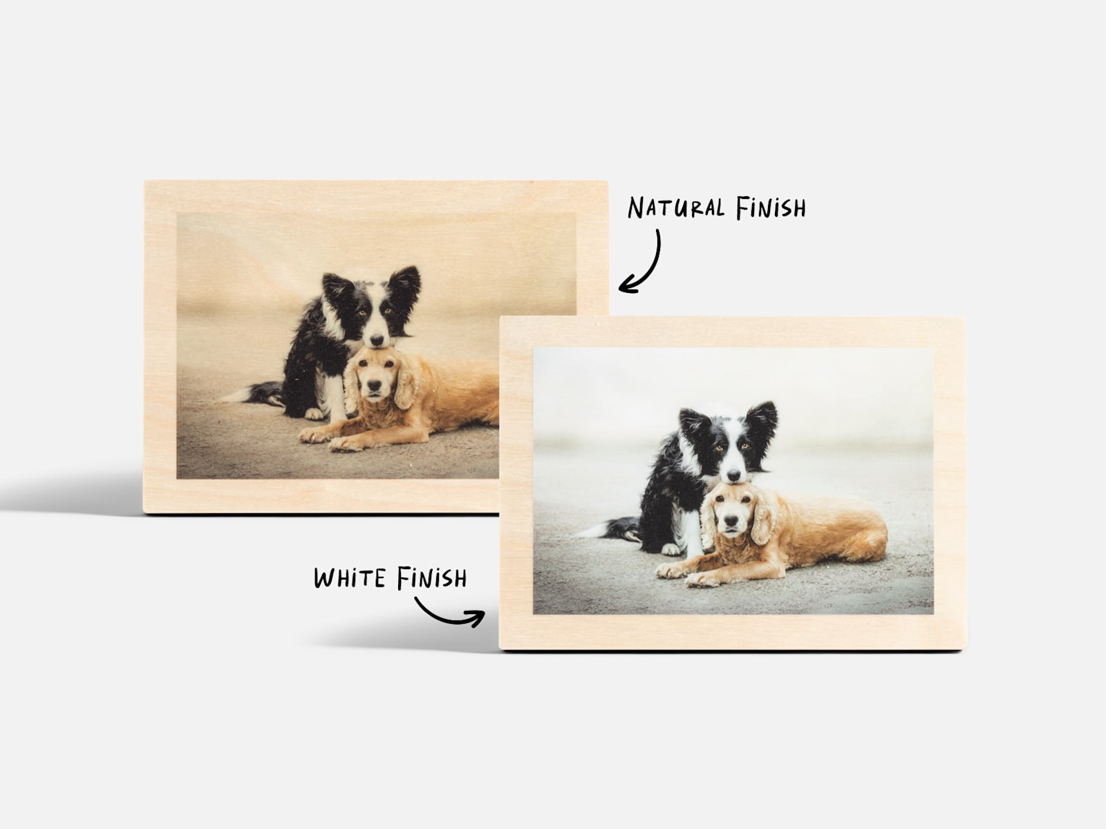 Two tabletop wood prints both featuring dog photos, with notes that you can choose a natural finish or white finish. 