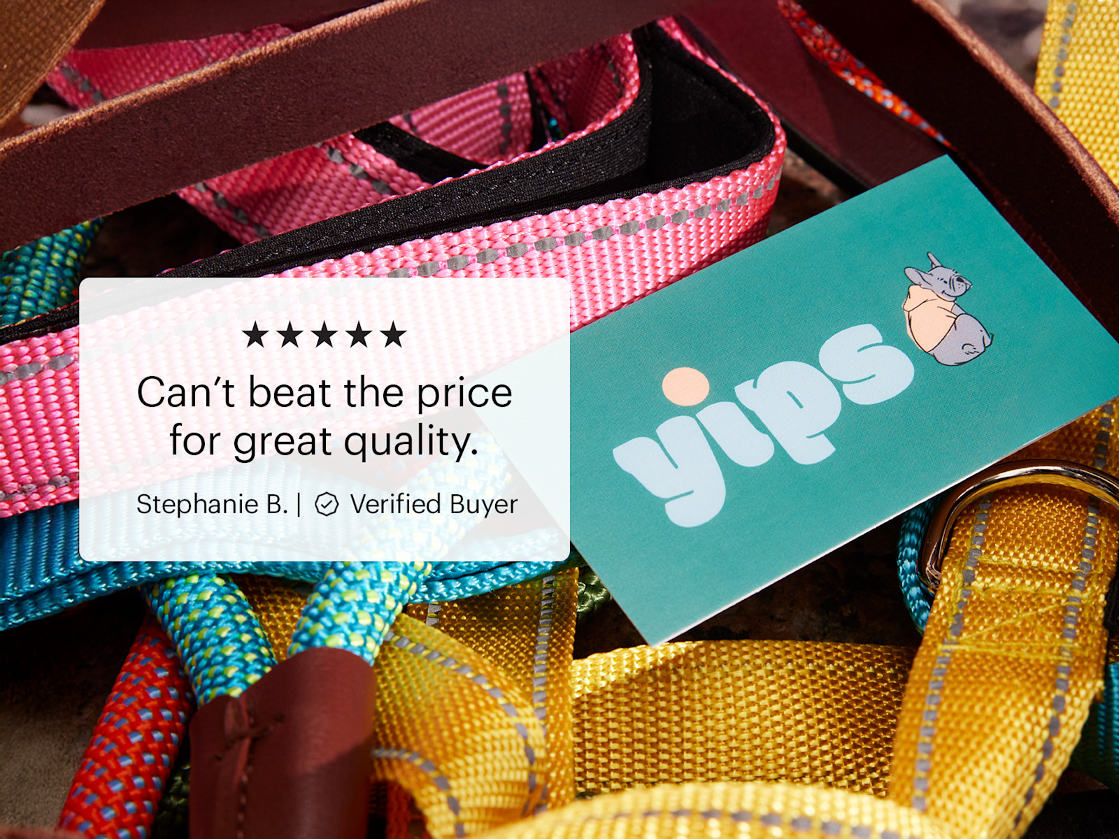 A business card for a dog walker placed on colorful dog leashes, featuring a five-star customer review.