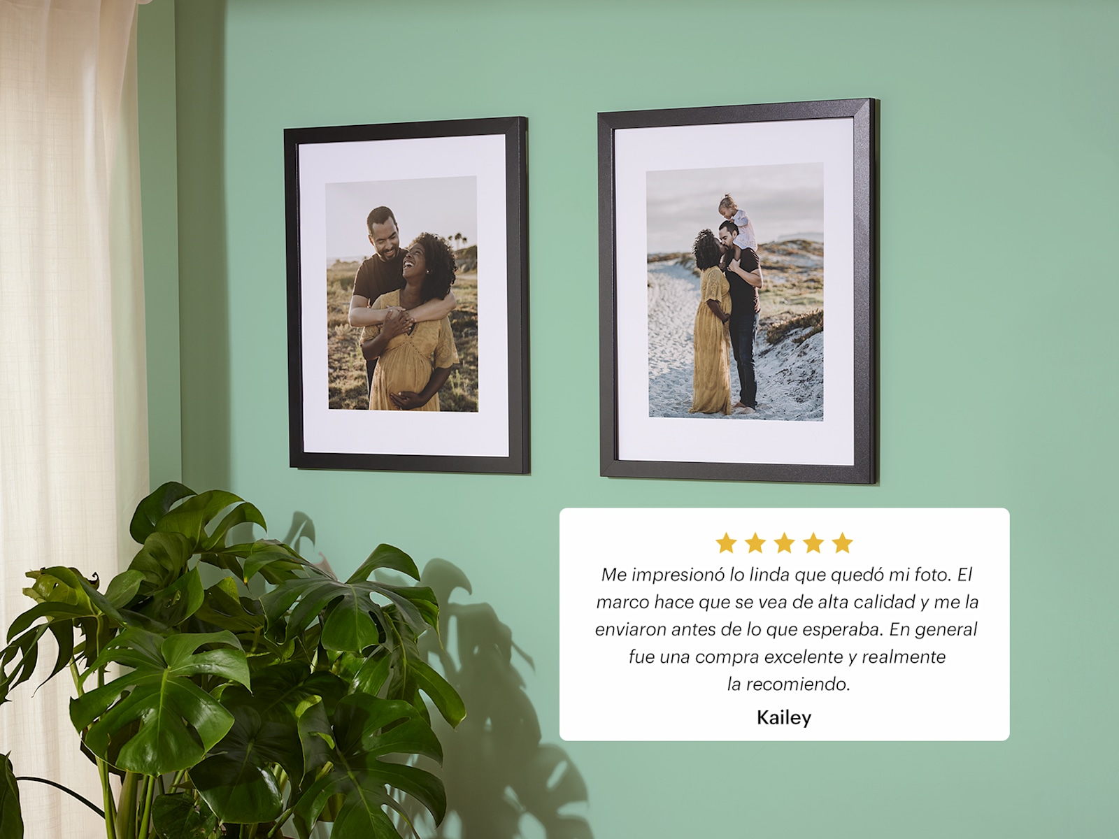 Larger version: Two framed photo prints hang on a green wall.