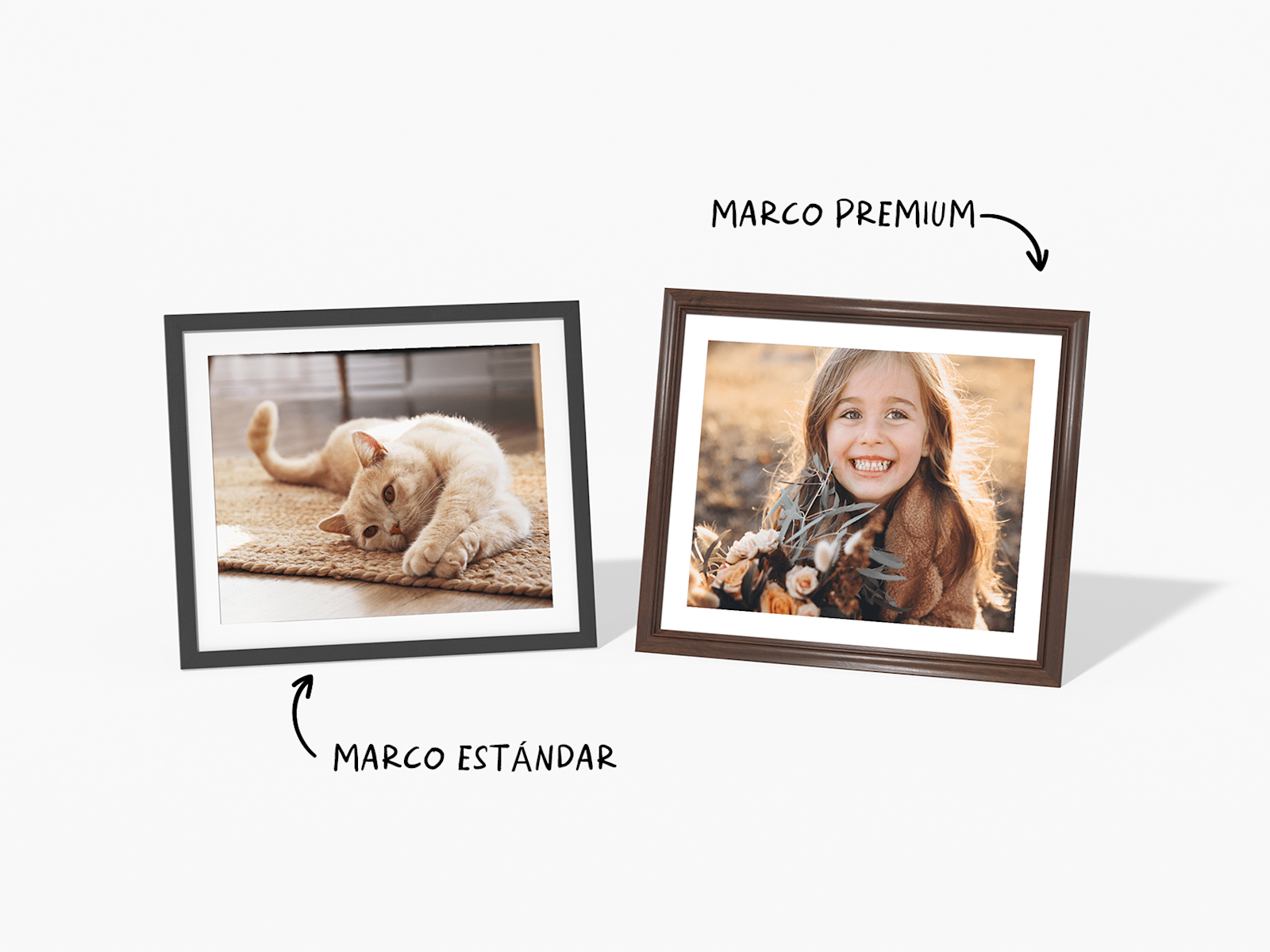 Two photo prints show the difference between standard and premium frames.