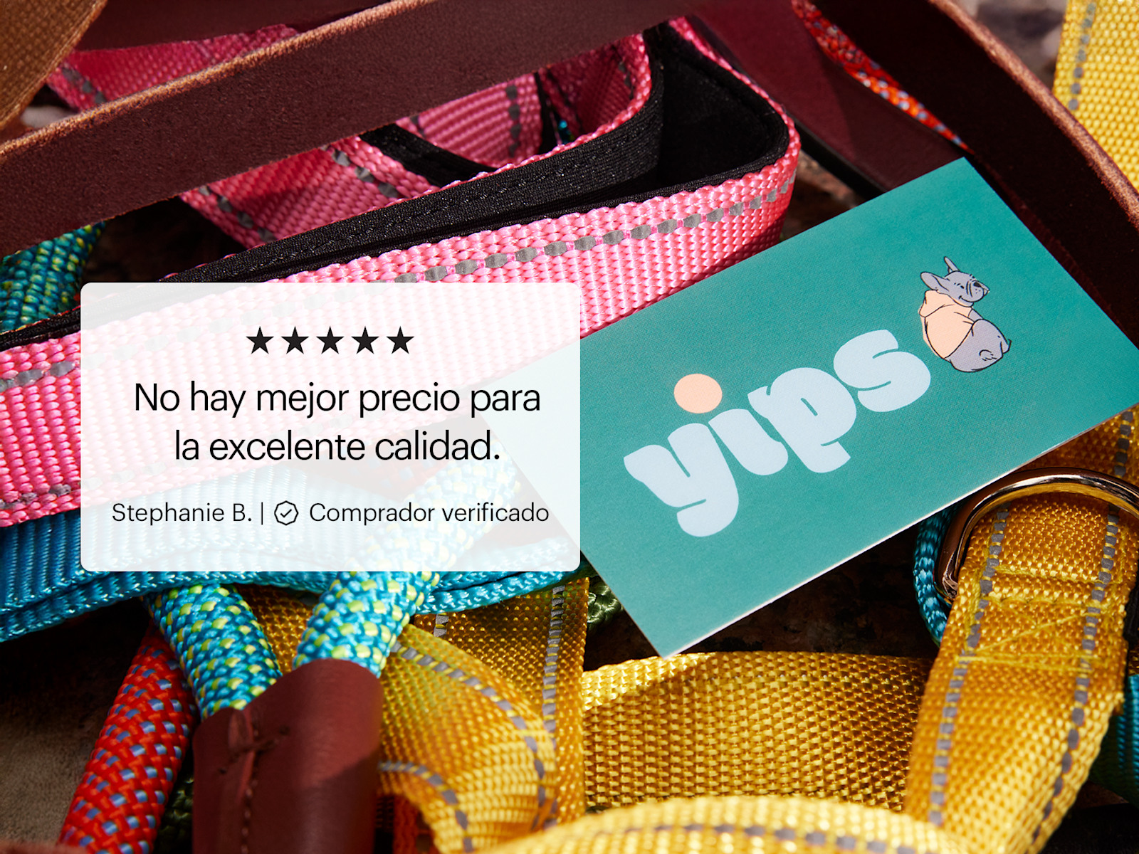 Una tarjeta de presentación Standard con un diseño morado y anaranjado.