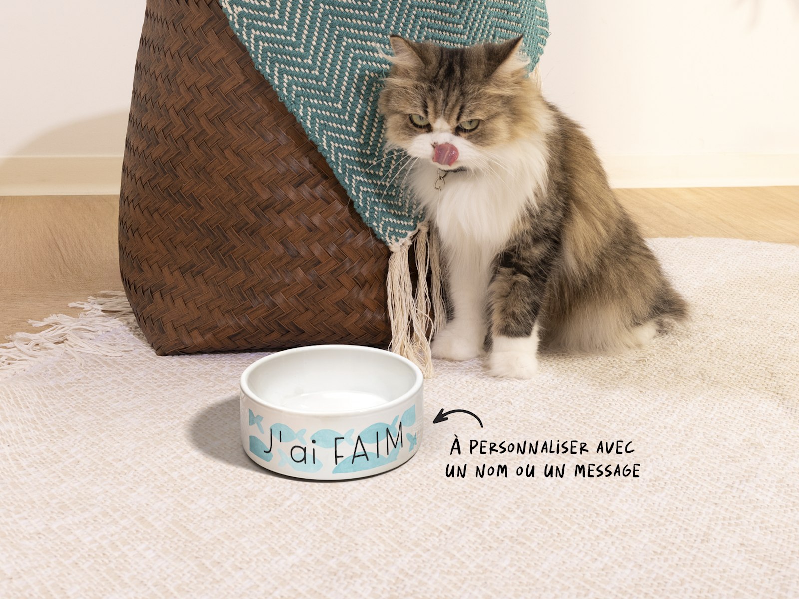 Un chat et une gamelle personnalisée sur laquelle on peut lire « Feed me » (nourris-moi), le tout accompagné d’une note indiquant que vous pouvez personnaliser la gamelle avec un nom ou un message.