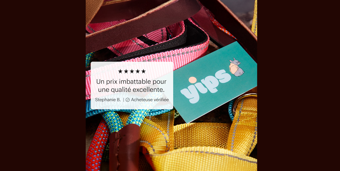 Une carte d’affaires standard au graphisme violet et orange.