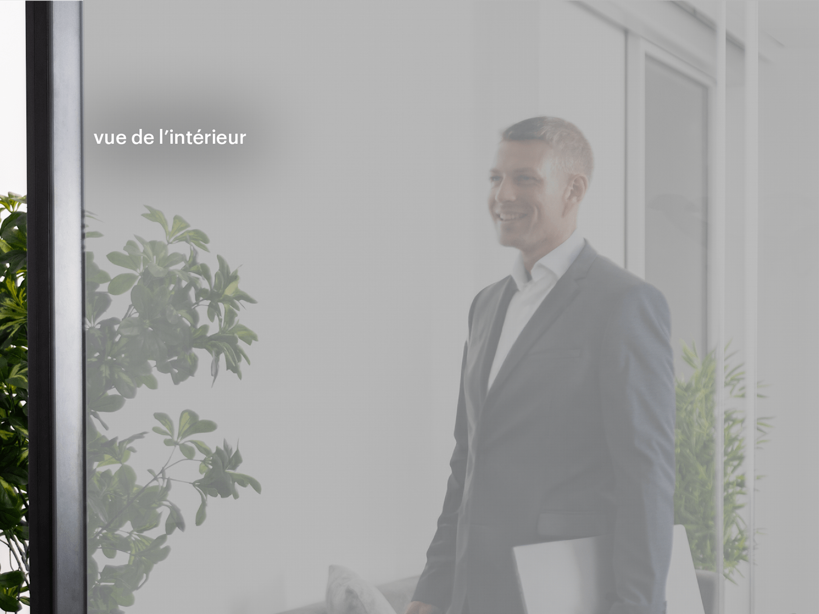 Adhésifs pour vitrine microperforés 4