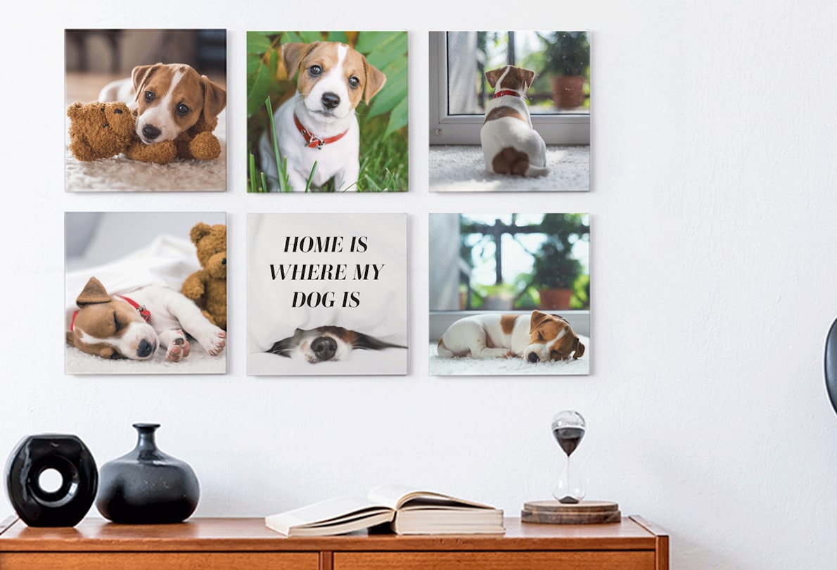 Photo Tiles, Picture Tiles for Wall | VistaPrint AU